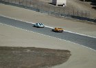 races 003